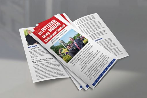 Political Brochure